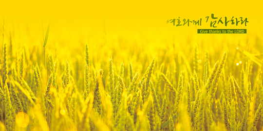 35162a-강대상배경