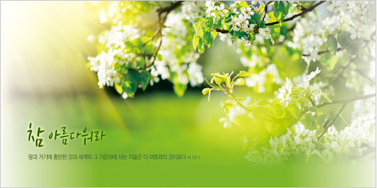 35186a-강대상배경