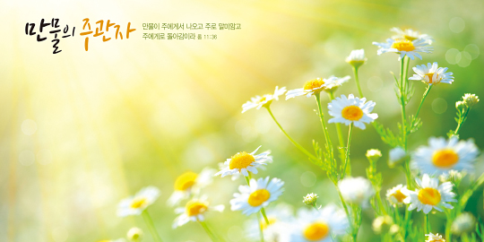 35192a-강대상배경