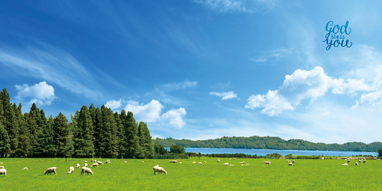 35200a-강대상배경