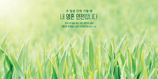 35207a-강대상배경