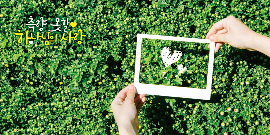 35219a-강대상배경