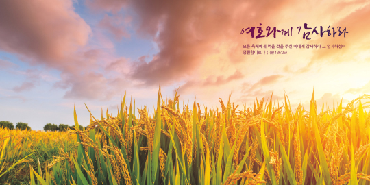 35234a-강대상배경