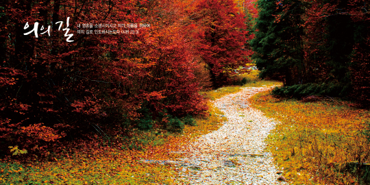 35235a-강대상배경