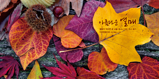 35236a-강대상배경