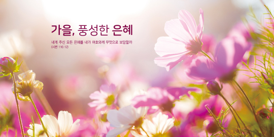 35237a-강대상배경