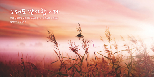 35238a-강대상배경