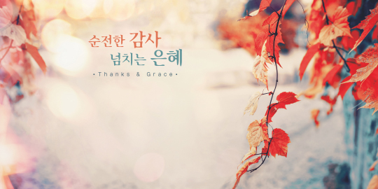 35239a-강대상배경