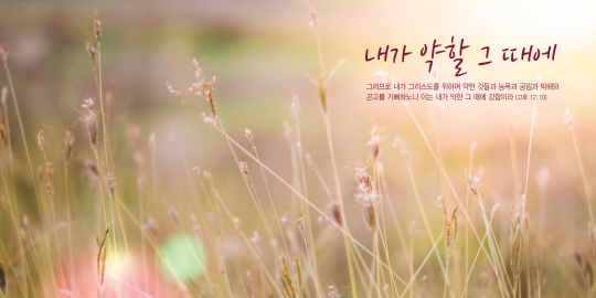 35241a-강대상배경