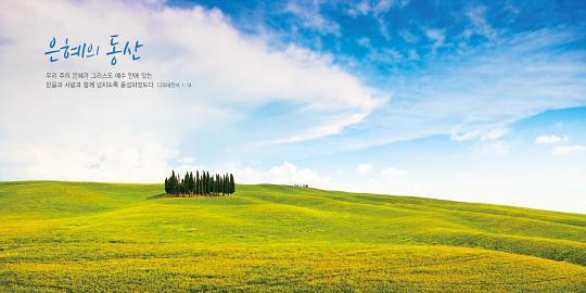 35252a-강대상배경