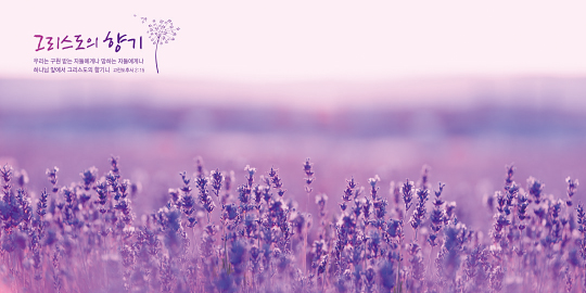 35274a-강대상배경