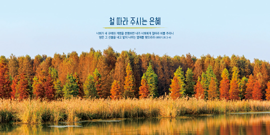 35299a-강대상배경