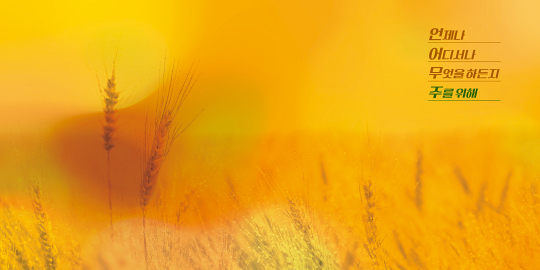 35304a-강대상배경