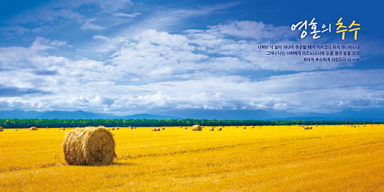 35306a-강대상배경