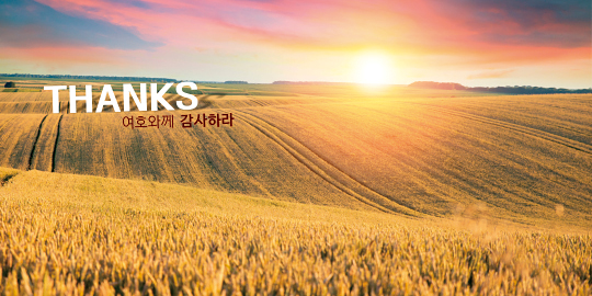 35308a-강대상배경