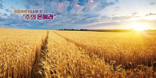 35311a-강대상배경