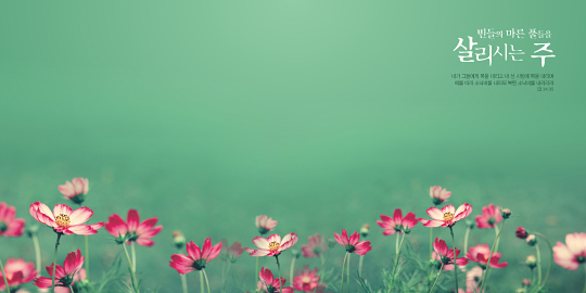 35315a-강대상배경