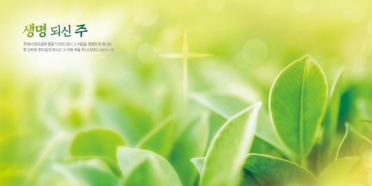 35332a-강대상배경