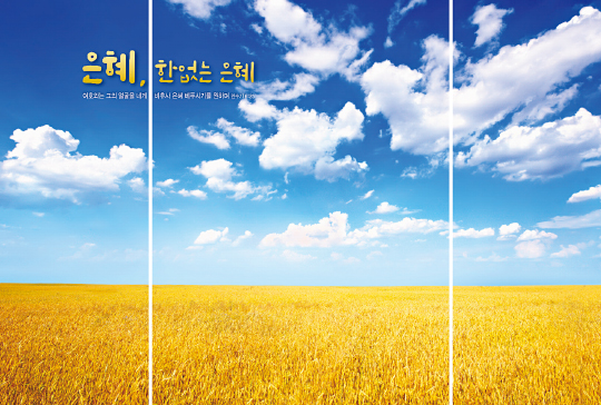 393010-버티컬월 배경③