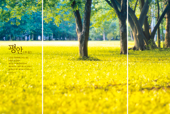 393020-버티컬월 배경③