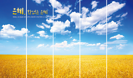 395010-버티컬월 배경⑤