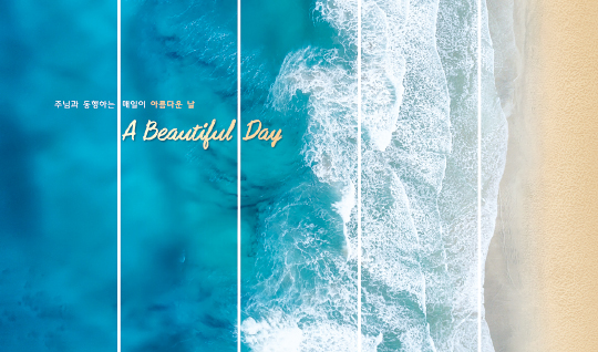 395017-버티컬월 배경⑤