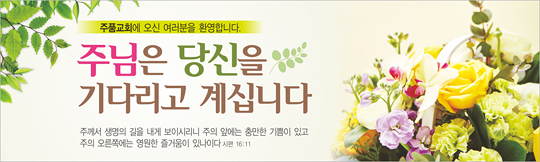 31036a-환영합니다