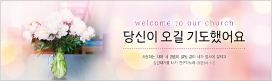 31137a-환영합니다