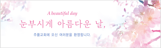 31166a-환영합니다