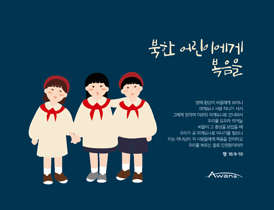 AK-C17 A219 - 비규격형