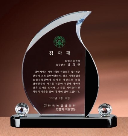 DD24-186-03 투톤 크리스탈 상패