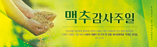 76115a-맥추감사절