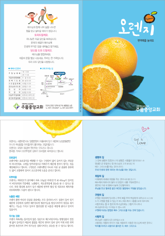 p54108-과일-오렌지