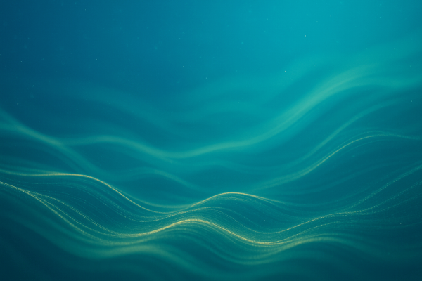 01jwrye1xpey899nyx4na1cxhw