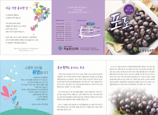 p54077-건강한 포도