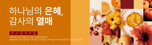 77317a-추수감사절