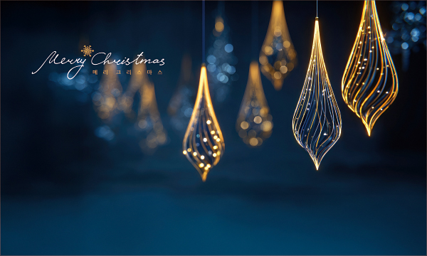 78494a-성탄절 포토존