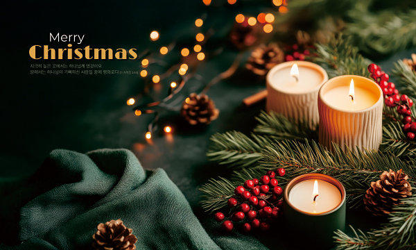 78495a-성탄절 포토존